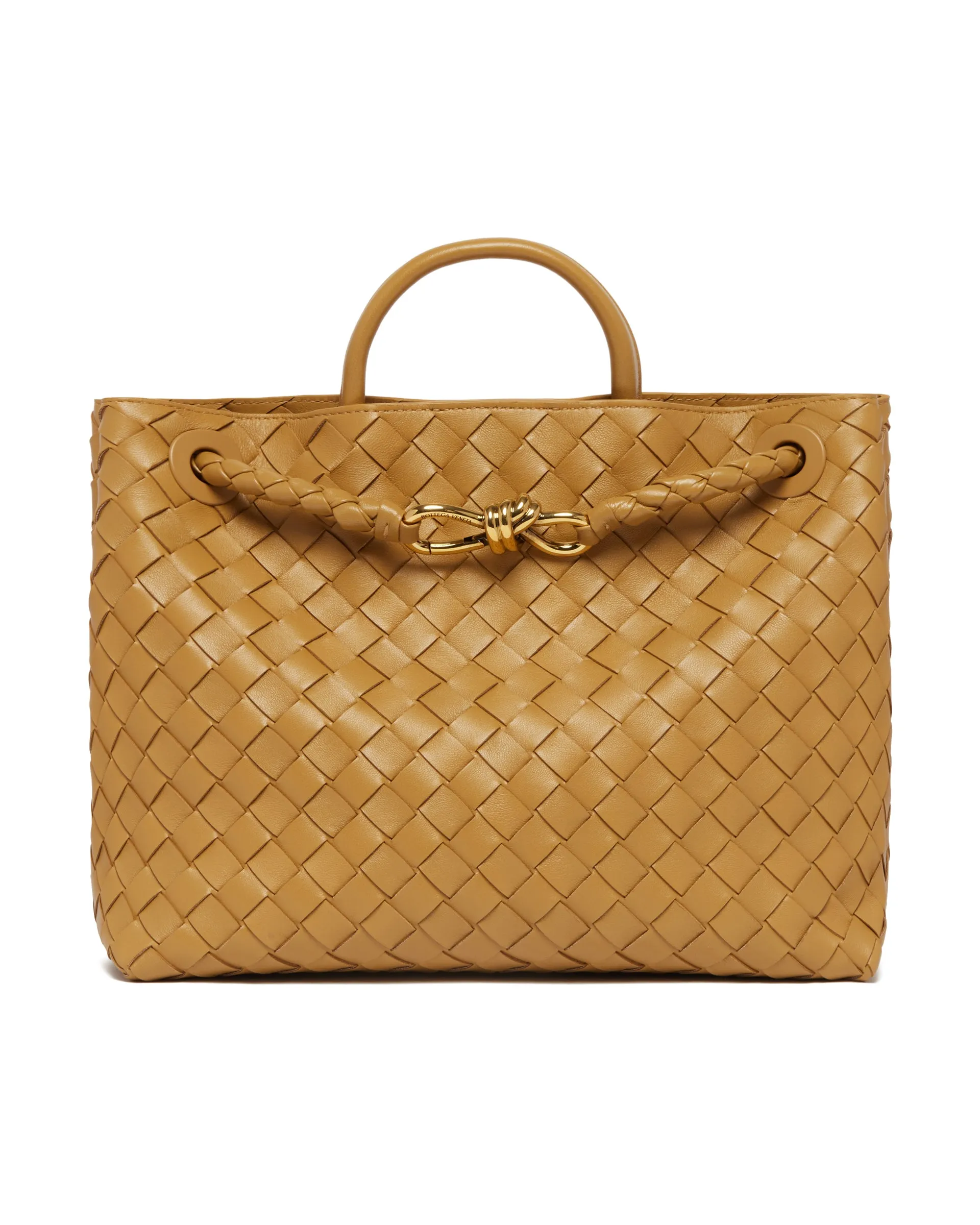 Beige Medium Andiamo Bag